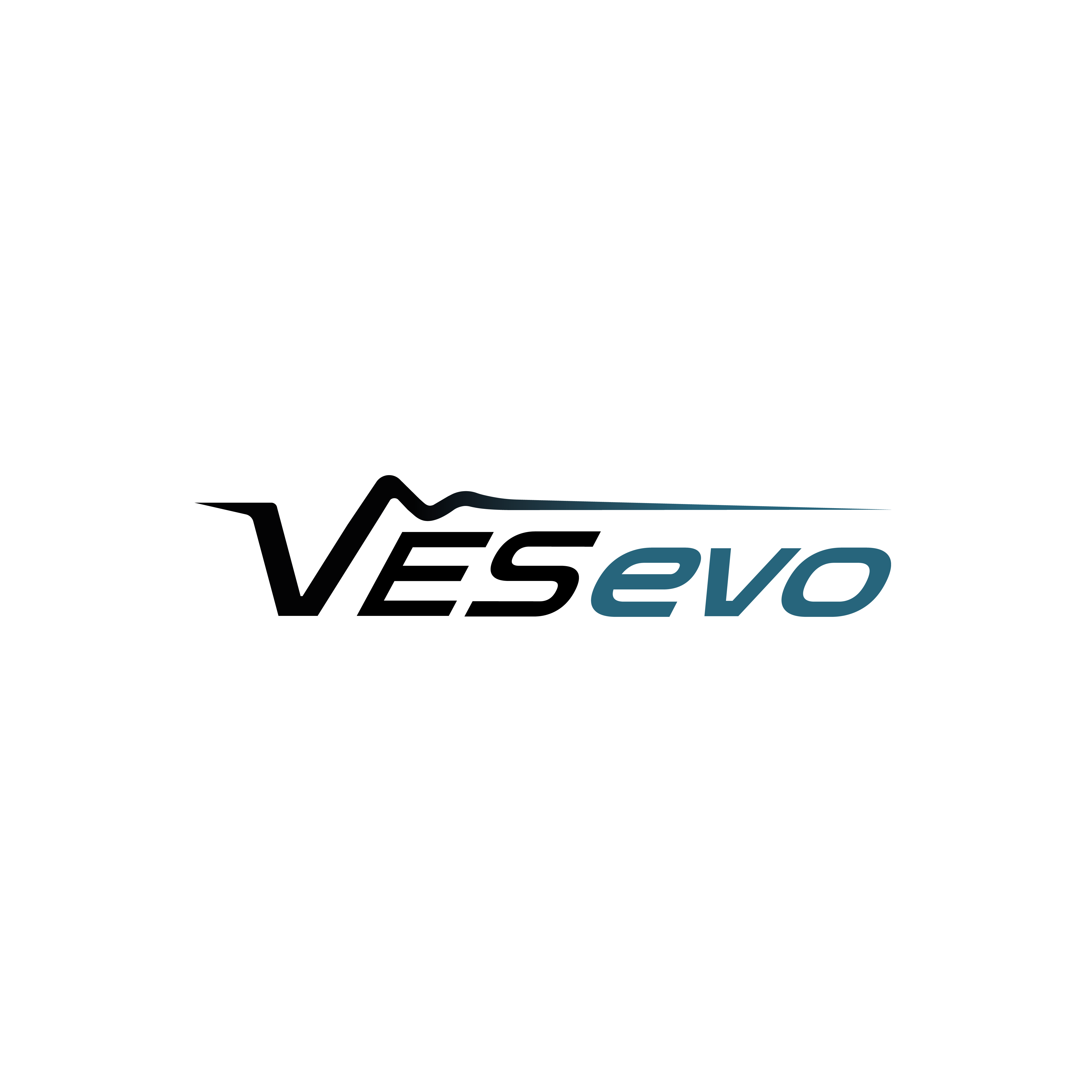 LOGO VESEVO COLOR